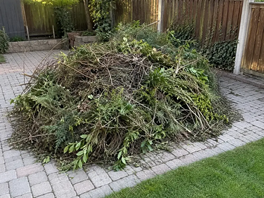 Tas de déchets verts, branches et tailles de haie, à évacuer en benne à Lyon
